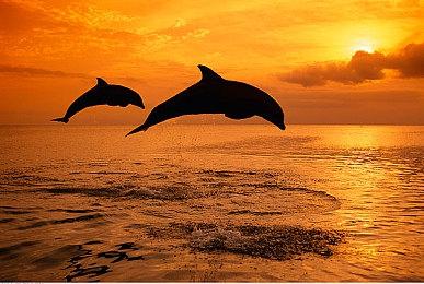 Troy Baker没有为《GTA6》中杰森配音