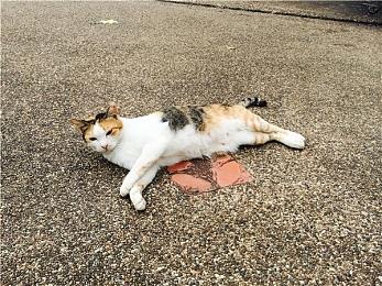 传《极限竞速8》将亮相Xbox发布会 2023年春季发售