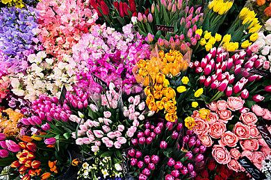 Xbox老大谈《潜行者2》：开发复杂 看起来很棒